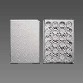 PC膜插入式培养皿,细胞小室,transwell