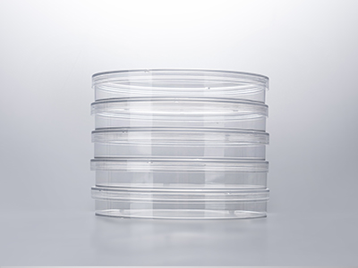 培养皿盖外边缘凸起，保证叠放稳定；